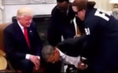 Top Trolling by President Trump on Social Media Posting This